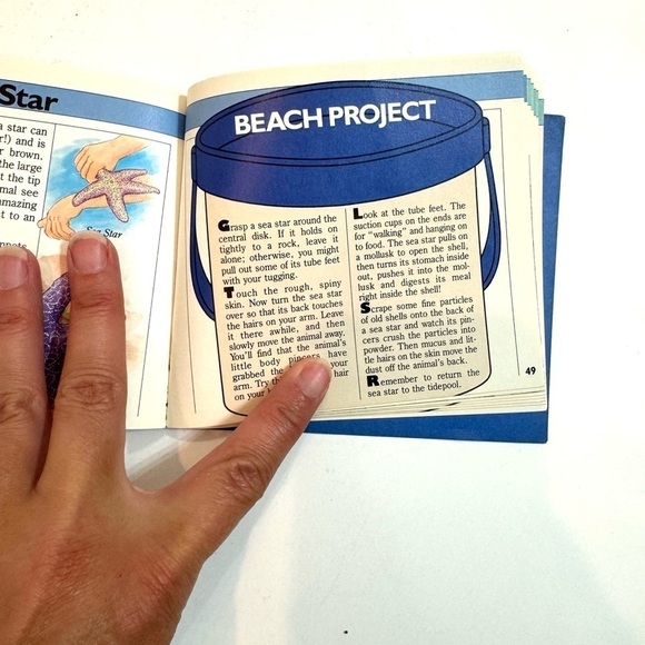 Lot of 3 Kid’s Vintage Learning Books: Bugs, Beach, Birds - Picture 6 of 7